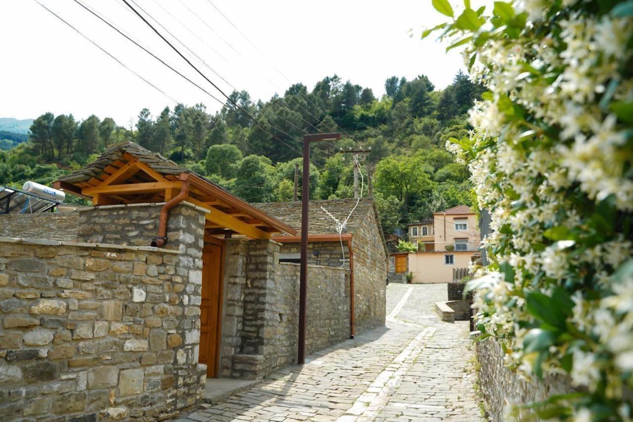 Gogo Moustache Guest House Përmet Exteriér fotografie